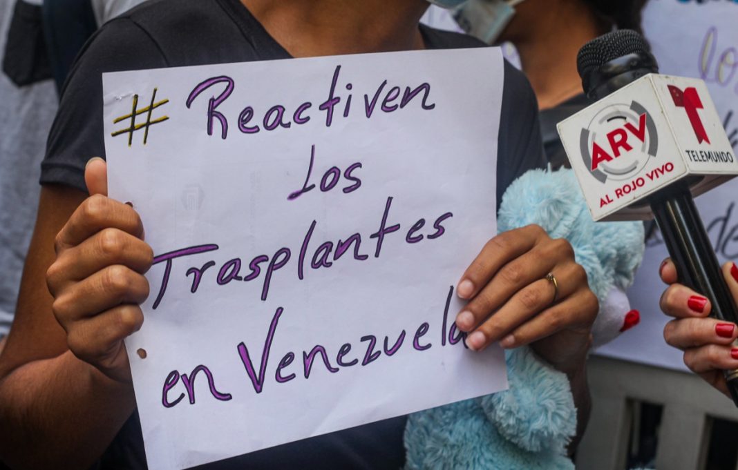 trasplantes-referencial-la-patilla