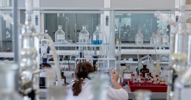 IBM y L'Oréal unen fuerzas para impulsar la innovación a través de la IA