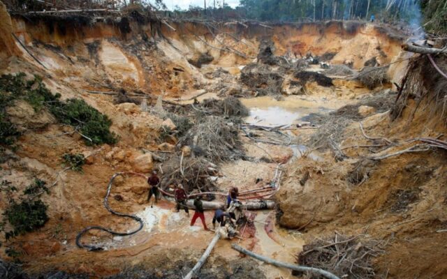Actividades en el Arco Minero del Orinoco han afectado miles de hectáreas de bosque