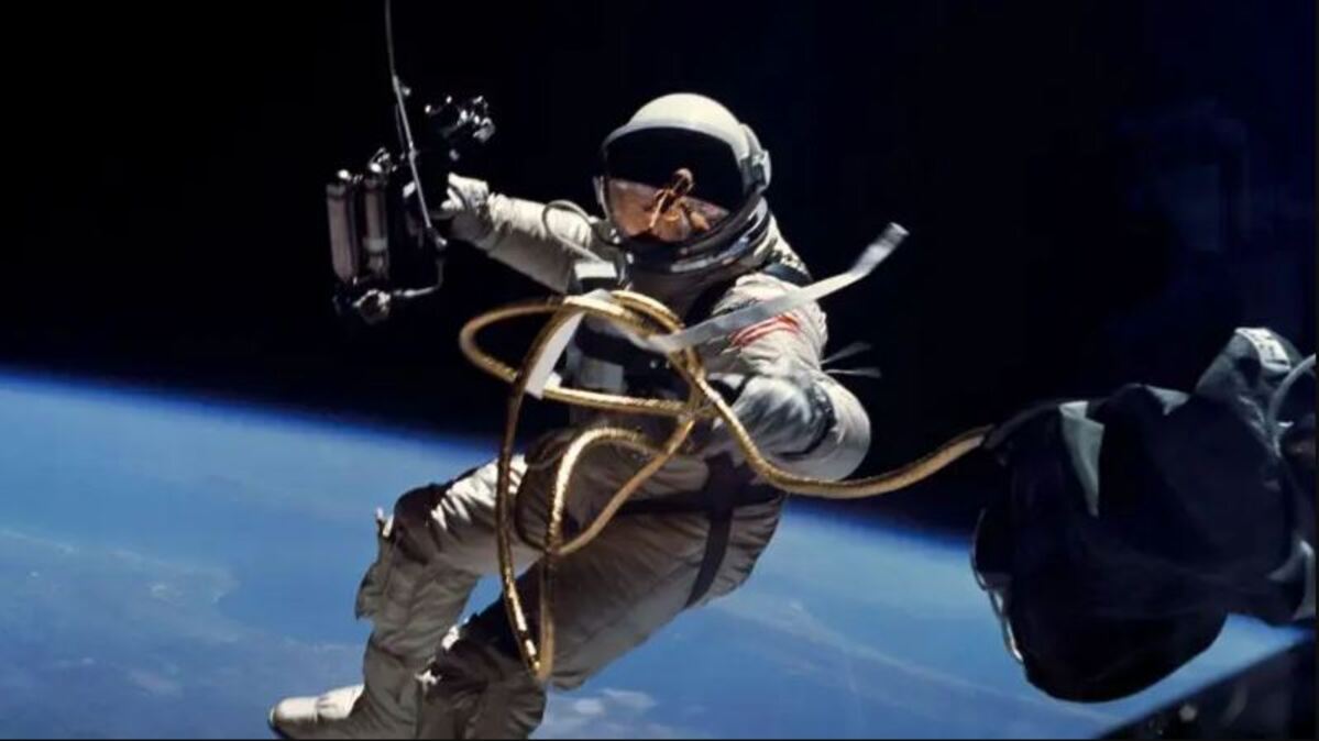 Qué le ocurre al cuerpo humano cuando pasa mucho tiempo en el espacio, como los  astronautas que acaban de regresar a la Tierra? - EL NACIONAL, image size:1199x674