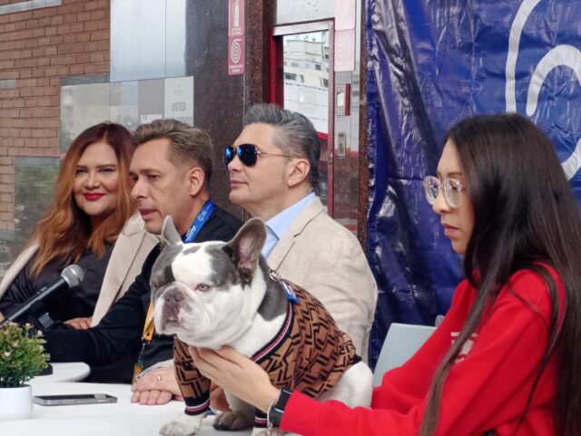 La segunda edición de Expo Mascotas ofrecerá jornadas gratuitas de adopción y clínicas veterinarias