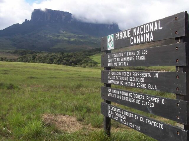 SOS Orinoco denuncia que minería ilegal destruye ecosistemas del Parque Canaima