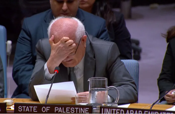 «¿Cómo alguien puede tolerar este horror»: el llanto del embajador de los palestinos en la ONU por la muerte de niños por hambre en Gaza