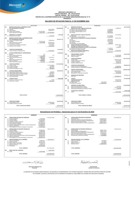 Balance Mercantil Seguros Diciembre 2024