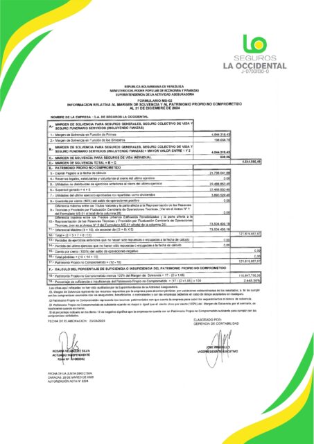 Balance Diciembre 2024 Seguros La Occidental