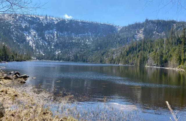 Ola de calor causa la muerte de todos los peces de un gran lago checo