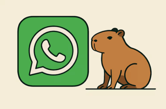 Paso a paso: cómo habilitar el "modo capibara" en WhatsApp