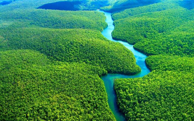 COP30: la Amazonía demanda fondos privados para su protección