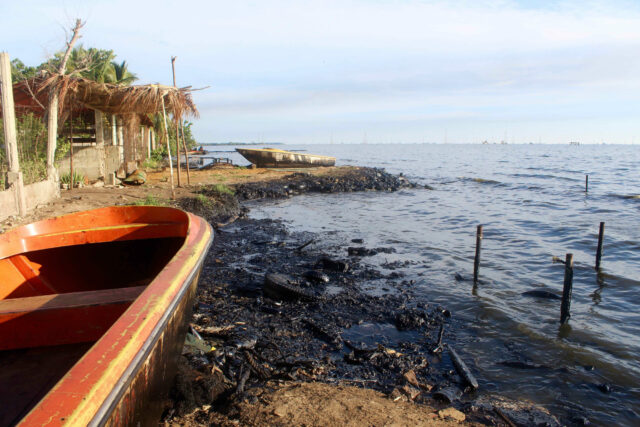 Ambientalistas rescatan cocodrilo contaminado con petróleo en el lago de Maracaibo