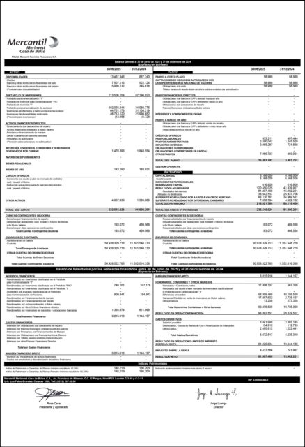 Balance Mercantil Merinvest Junio 2025 y Diciembre 2024