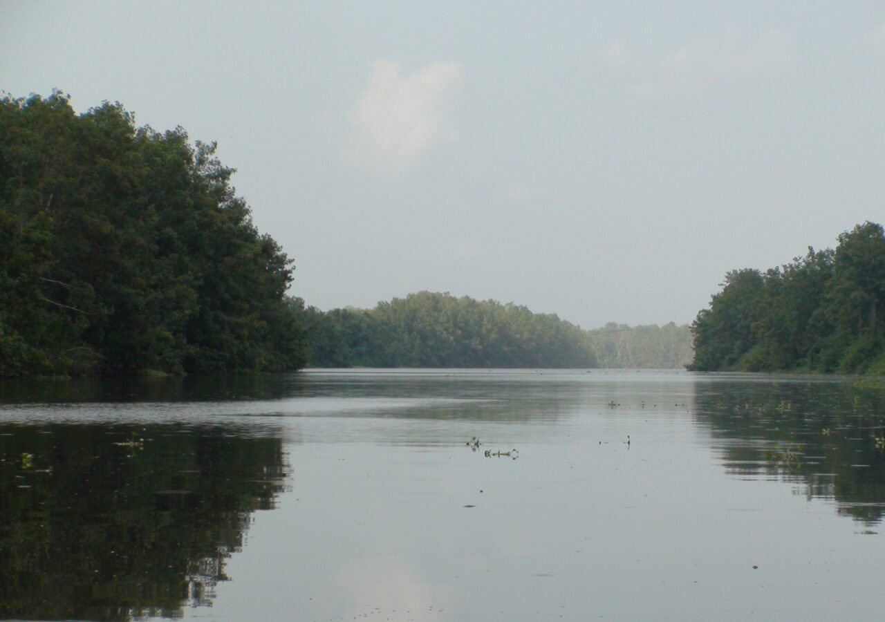 Alerta por el Orinoco: familias huyen de sus casas por la crecida del río