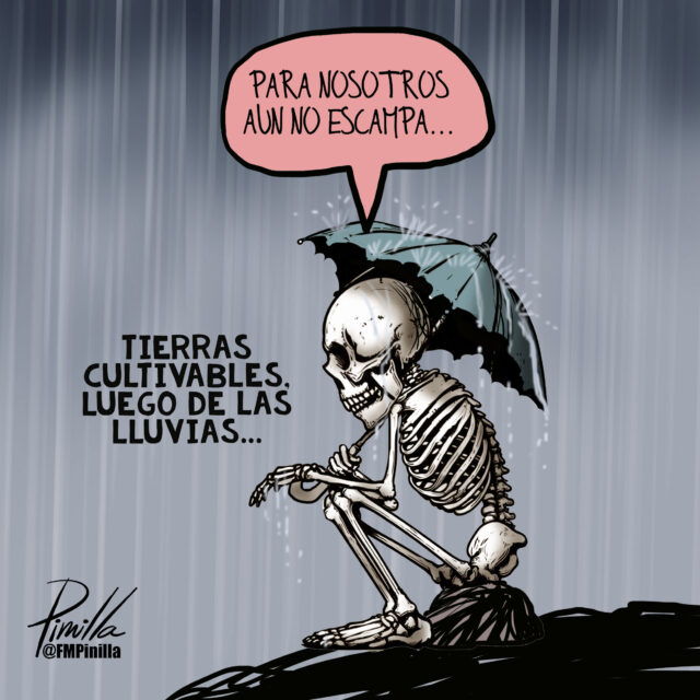 Pinilla: Tierras cultivables