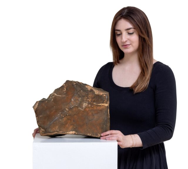El meteorito más grande de Marte hallado en la Tierra se vende por 5,3 millones de dólares