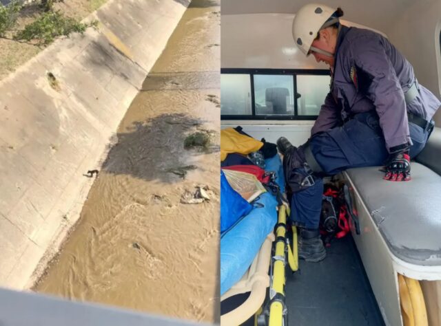Rescatan a perrito atrapado en las riberas del Guaire: "Cada vida cuenta"