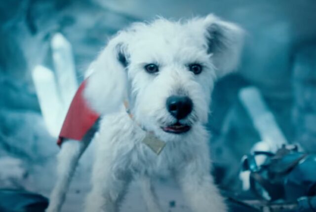 Furor por Krypto: adopciones de perros aumentan tras el estreno de Superman