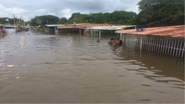 Más de 4.000 afectados en Bolívar por crecida del Orinoco: piden jornadas de fumigación y distribución de alimentos