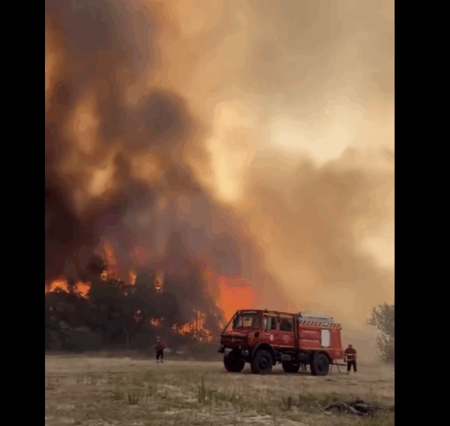 La ola de incendios en Portugal pone a prueba a los equipos de emergencia