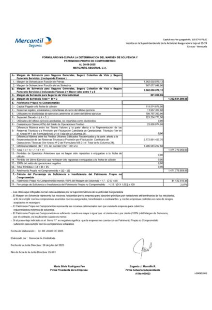 Margen de Solvencia Mercantil Seguros Junio 2025