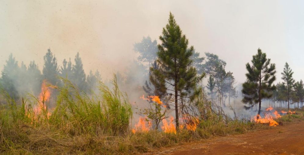 Incendio en Cuba