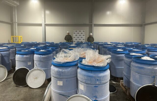 Incautaron en Colombia cinco toneladas de cocaína destinadas a Europa y Centroamérica