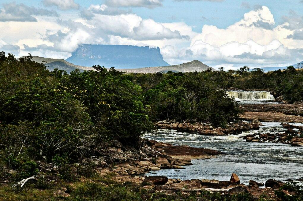 ¿Turismo, oro o vida? El dilema de Canaima y el espejo global de una crisis ambiental