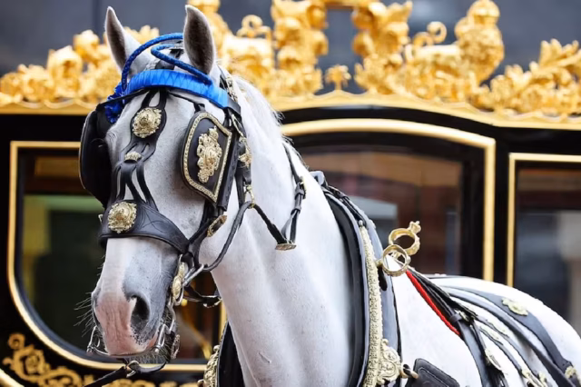 “Gigante gentil y confiable”: la familia real británica anunció el retiro de uno de los caballos de la reina Isabel II