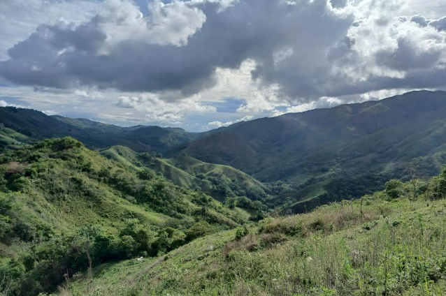 El león de oro en la Sierra de San Carlos