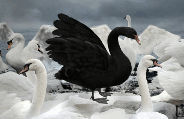 Esperando el "cisne negro"