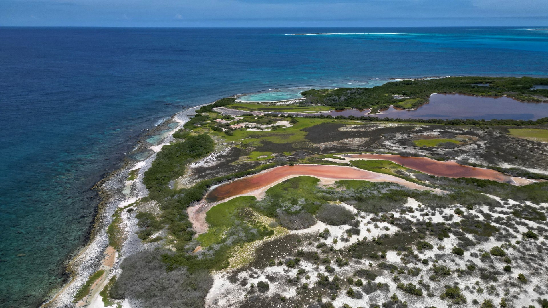  isla La Tortuga