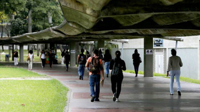 Observatorio de Empleabilidad: Jóvenes venezolanos muestran mayor interés en trabajar en empresas nacionales