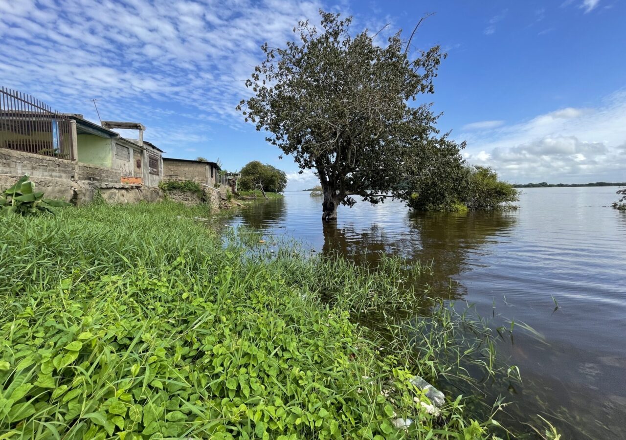 Más de 7.900 familias afectadas por la crecida del Orinoco en Bolívar