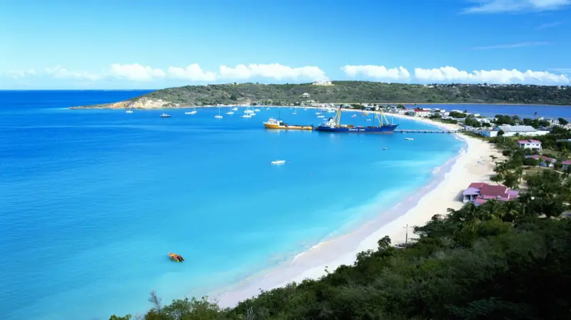 Anguila Isla
