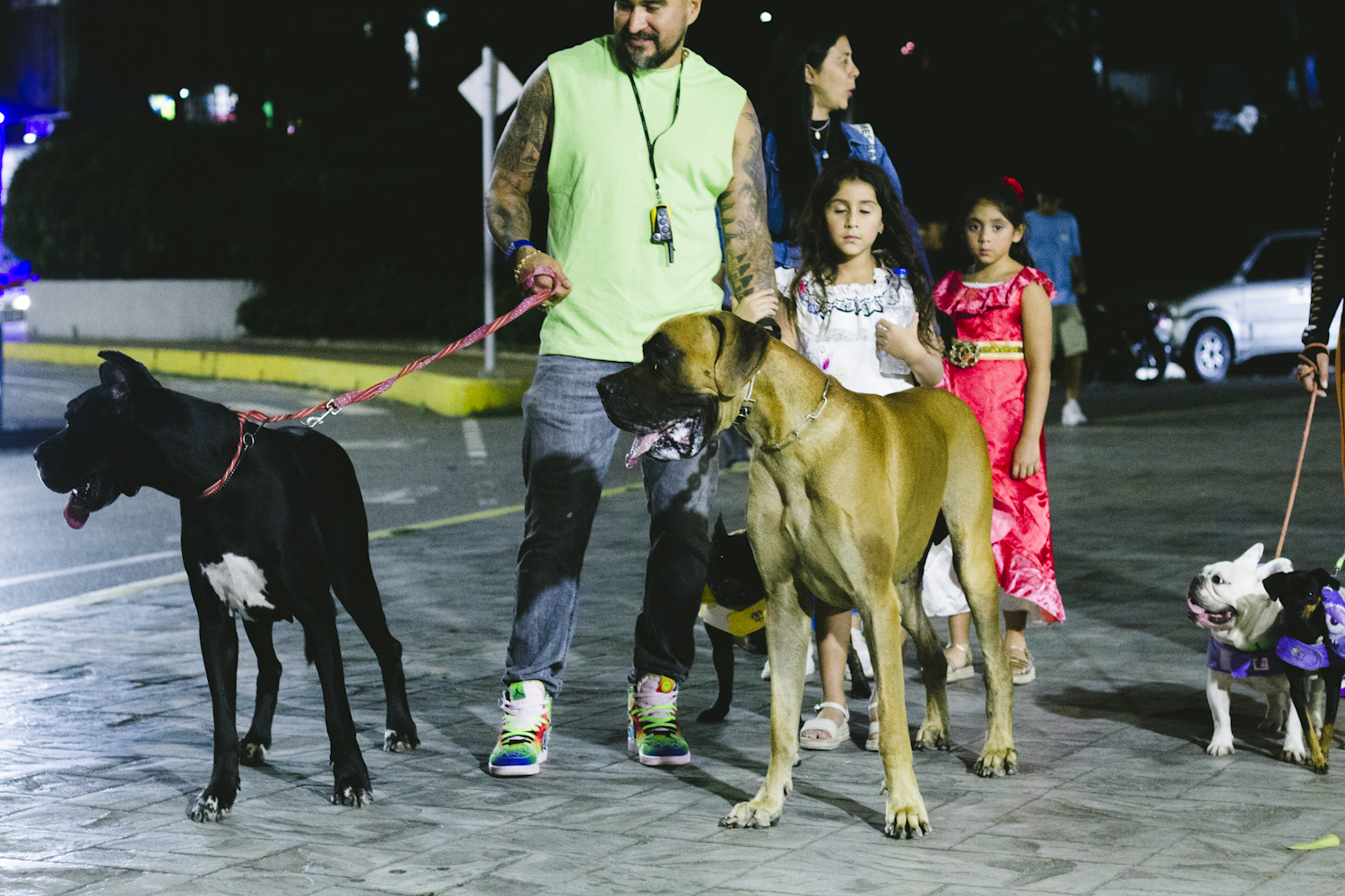 Nocturnando 2025: the triumph of culture and the crowd in Chacao
