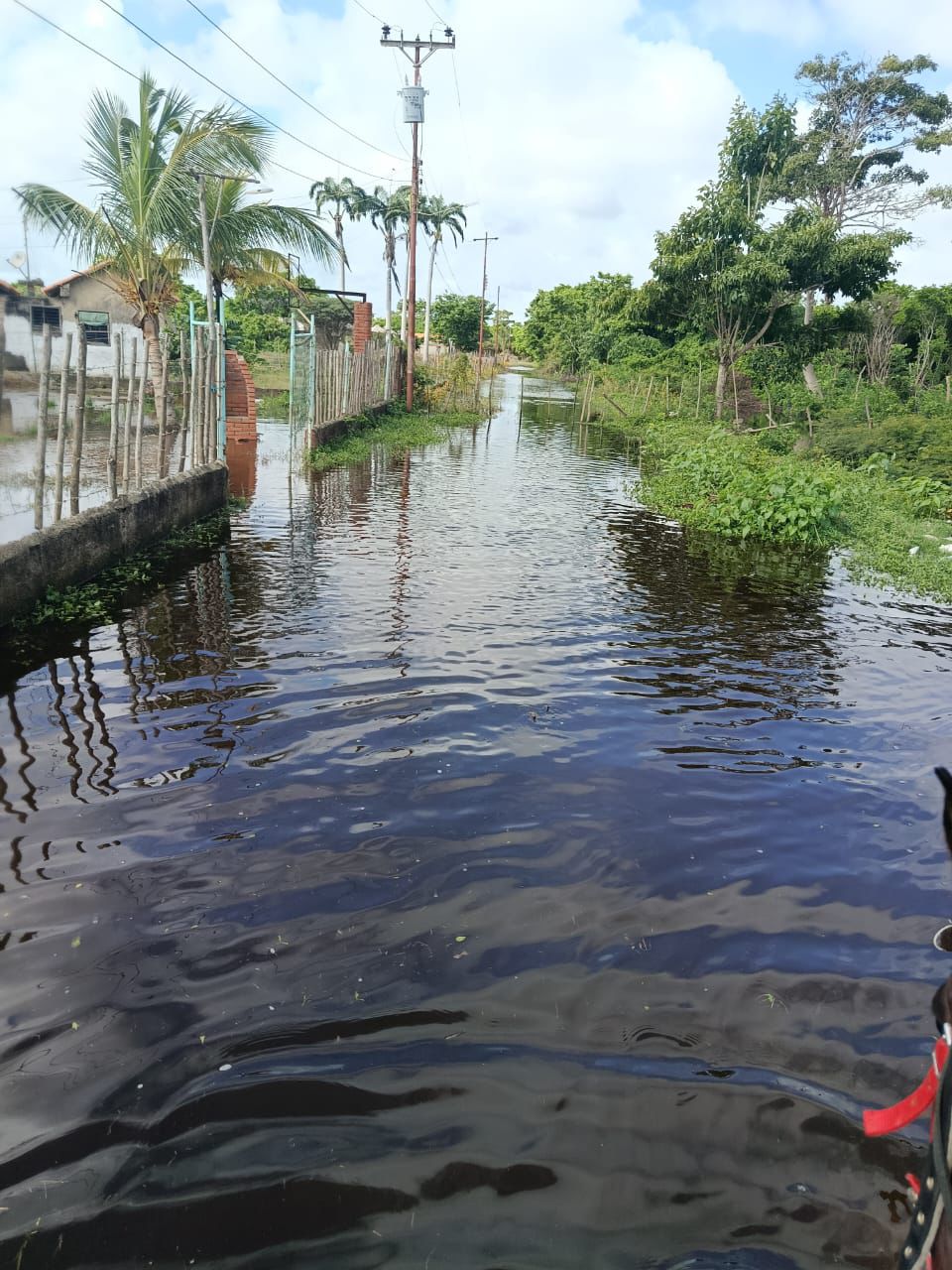Campo Caribe: neighbors report overflows and deterioration of the Yaracuy River