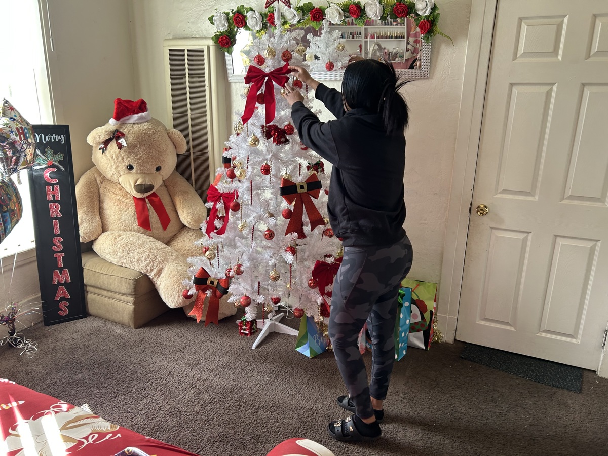 Migrantes en EEUU ruegan ser "invisibles" para ICE en esta Navidad