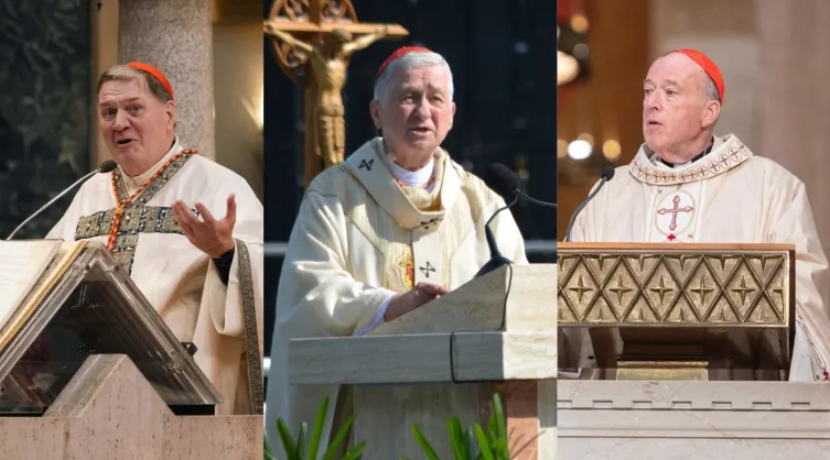 Captura de pantalla 2026-01-25 205453