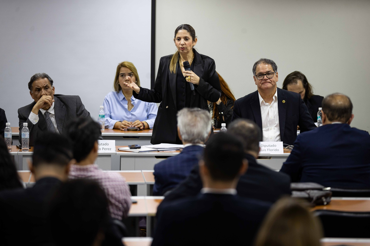 Nora Bracho defends that the amnesty law includes those accused of terrorism Venezuelan deputy believes that amnesty law "lacks virtues" for reconciliation