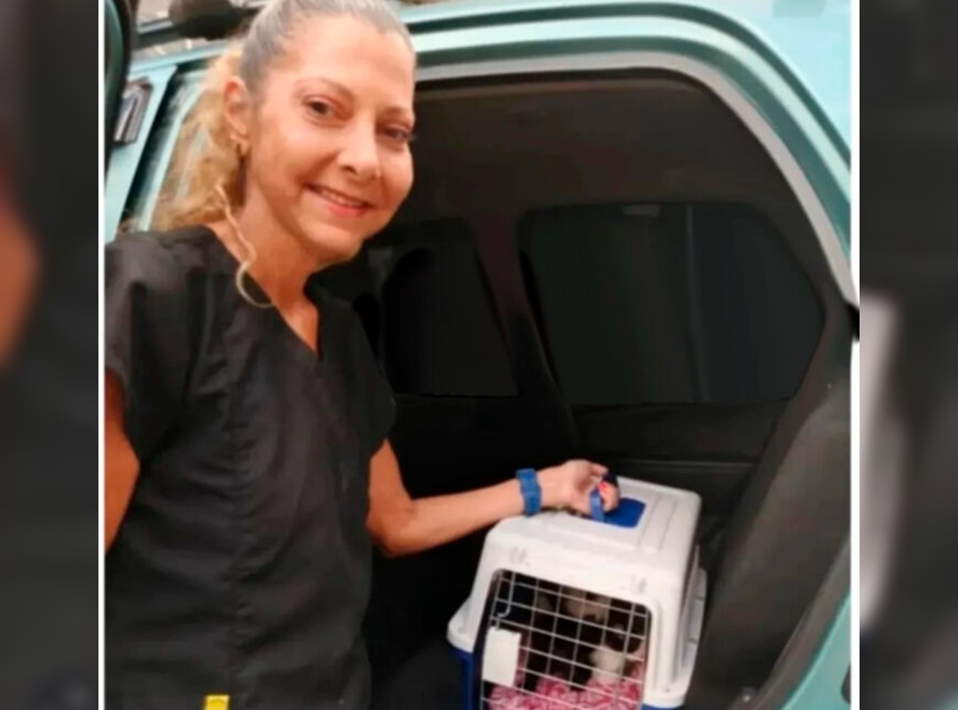Cover image for Margarita Rodríguez Charged in Case of Disappeared Adopted Cats