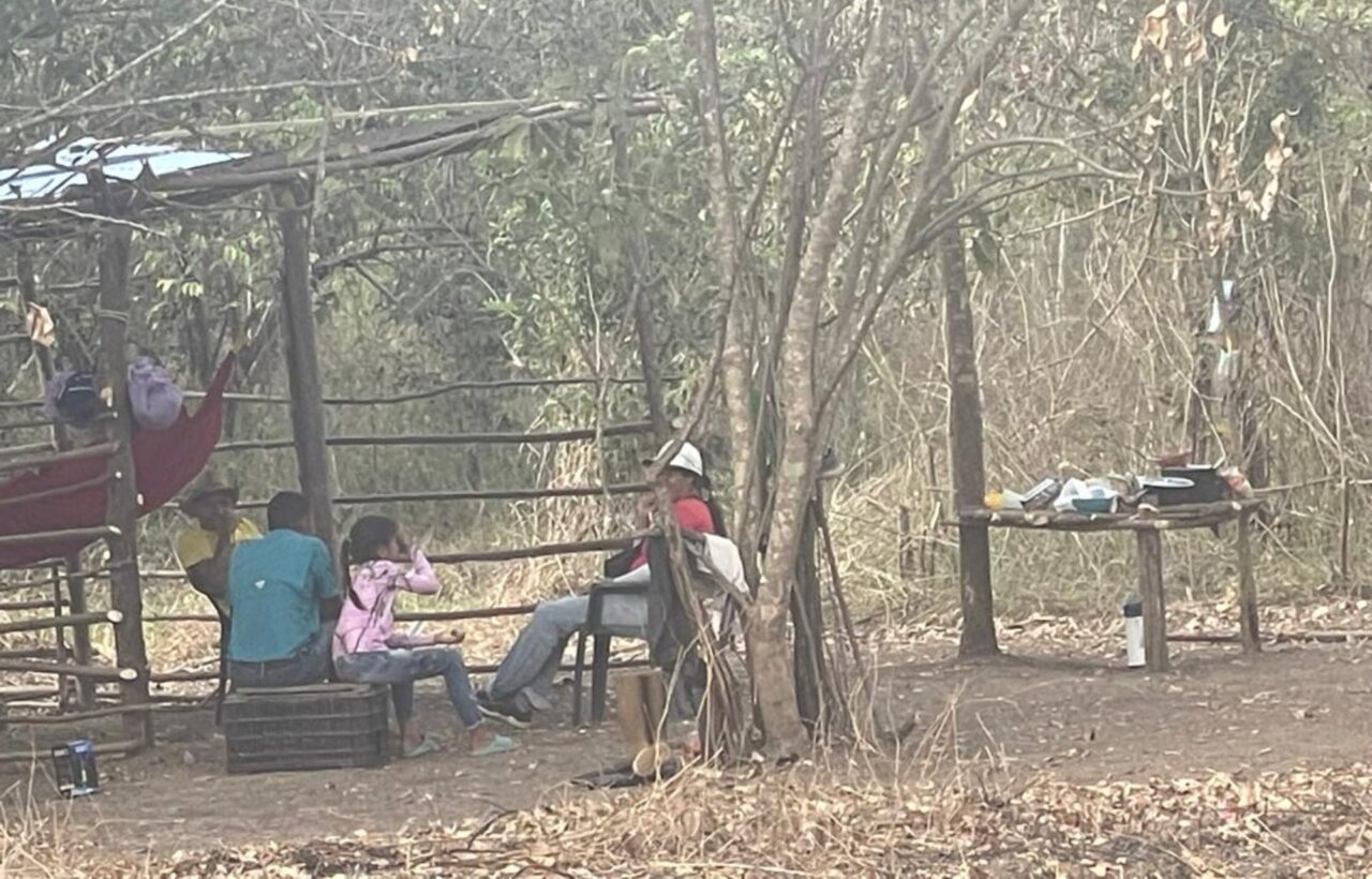 Rural communities of San Juan Bautista del Pao denounce irregular camps and ask for action from the authorities Camps