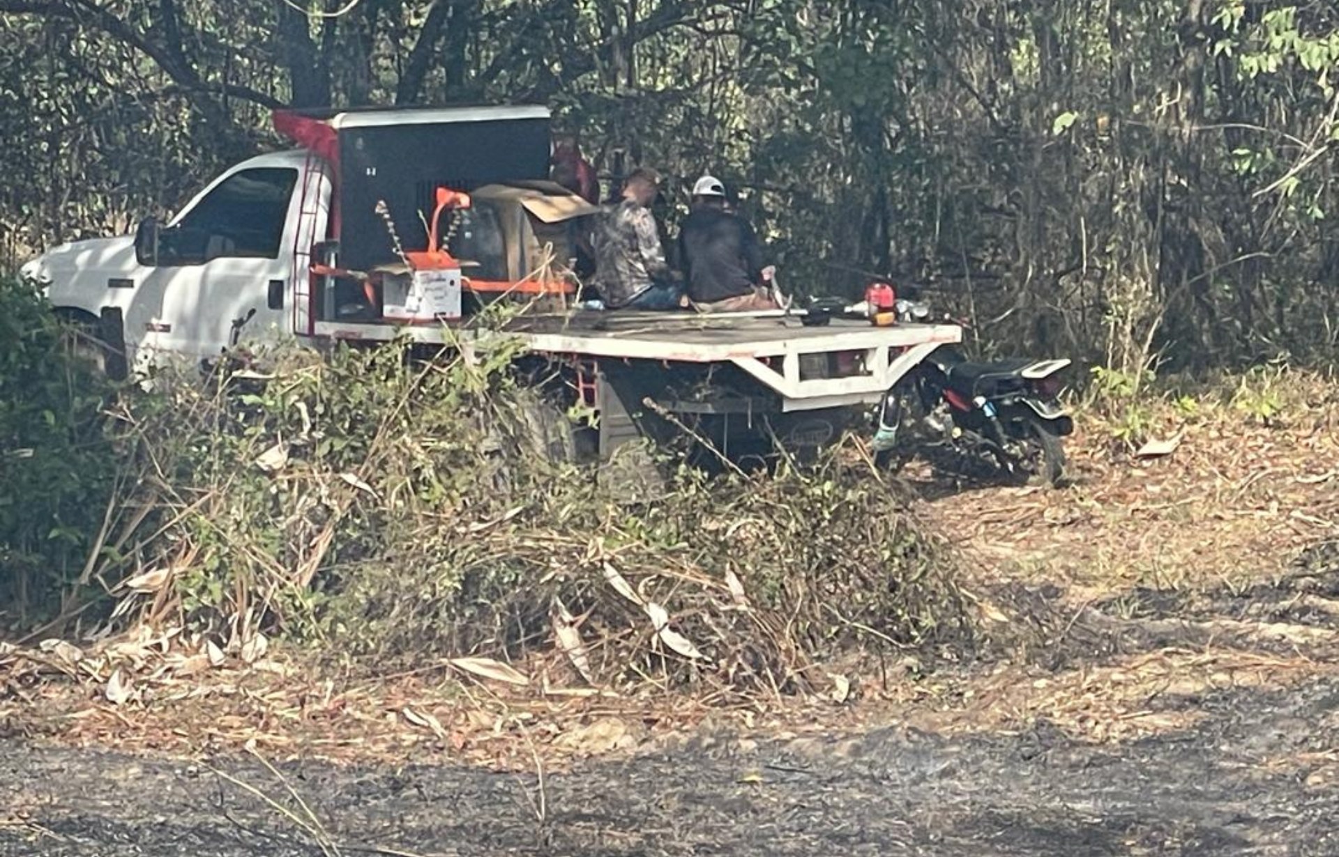 Rural communities of San Juan Bautista del Pao denounce irregular camps and ask for action from the authorities Camp