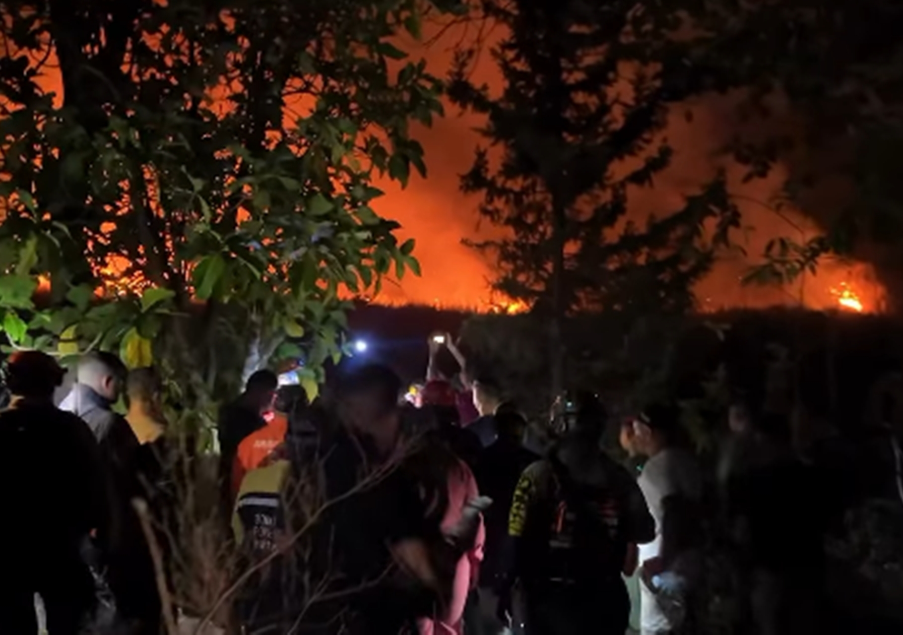 Controlan incendio forestal en el Parque Nacional Henri Pittier