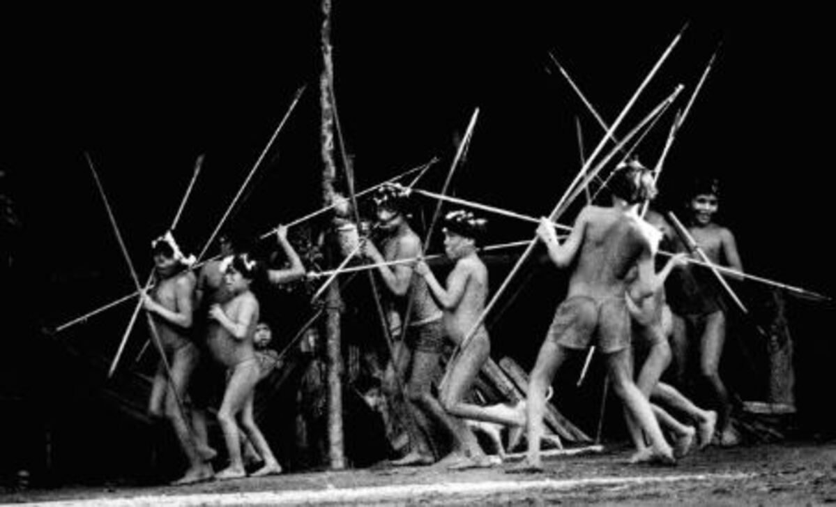 El machete y la savia