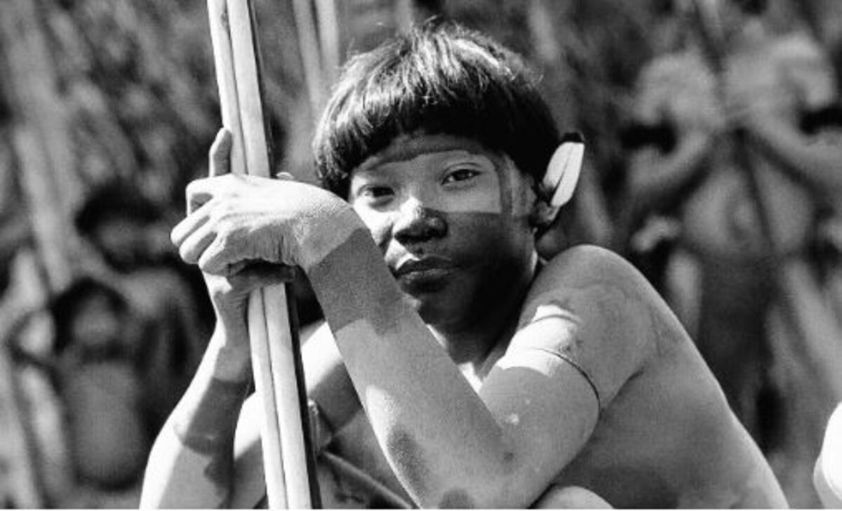 Los peces de las nubes: guardianes del barro amazónico