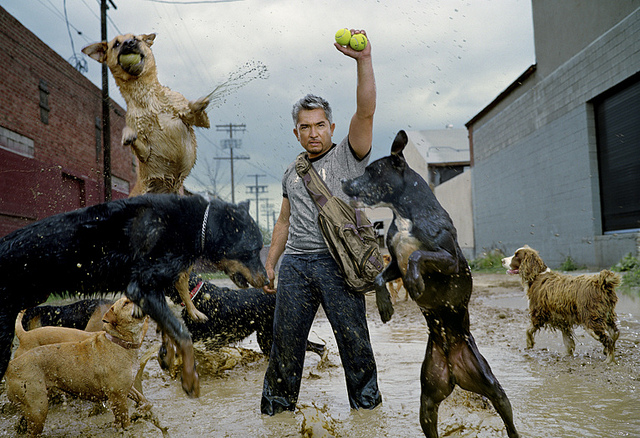 Cesar Millan