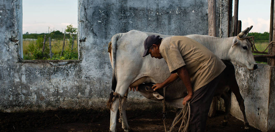 La tercera oportunidad de Cuba