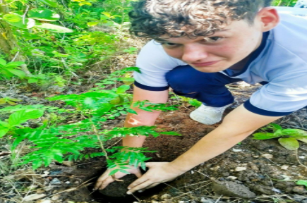 Fundación Tierra Viva: 30 años sembrando sustentabilidad en Venezuela