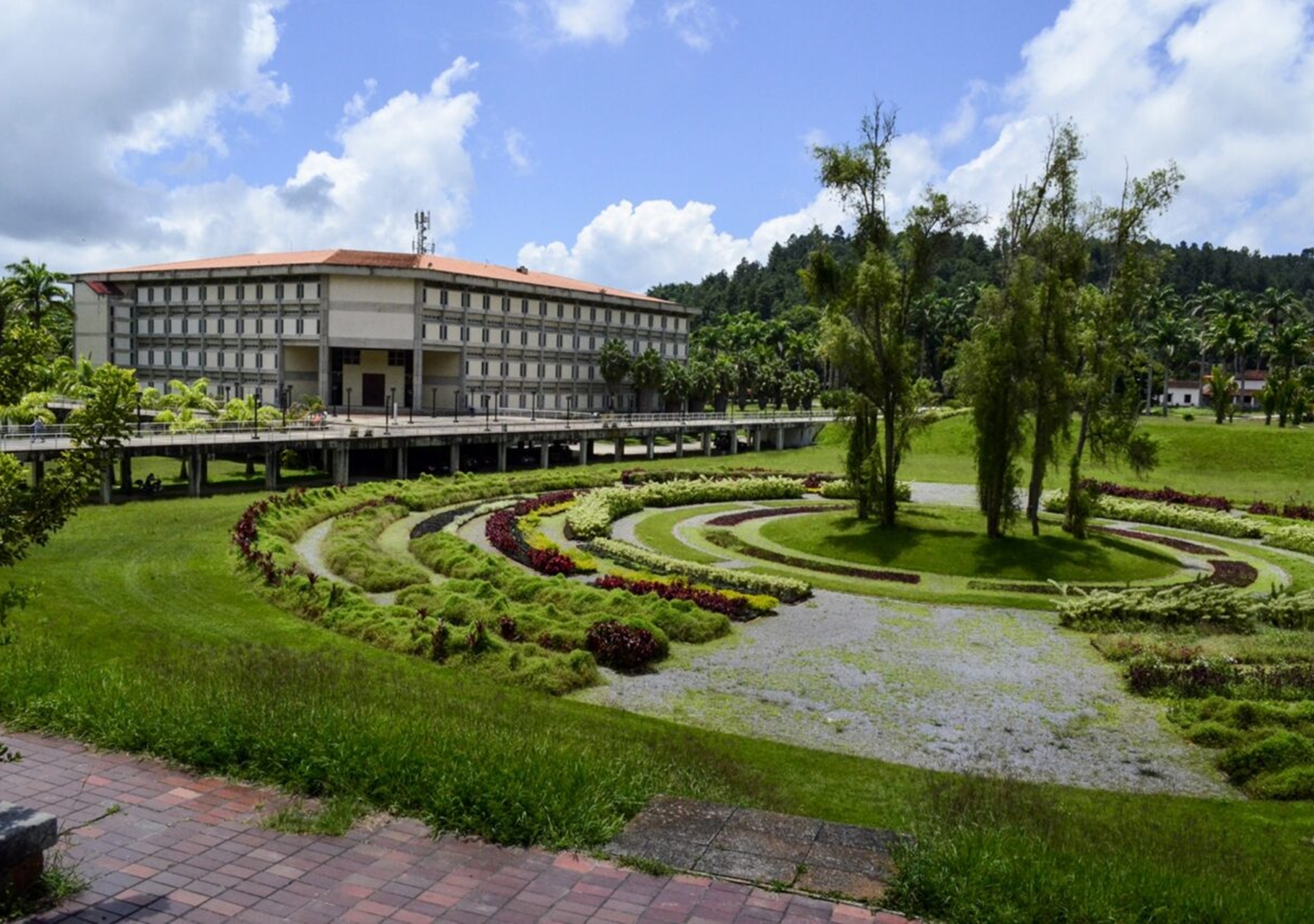 Exigen a la ministra de Educación Universitaria elecciones en la USB