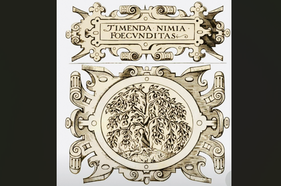 Timenda nimia foecunditas: De las empresas morales de Juan de Borja (1680)