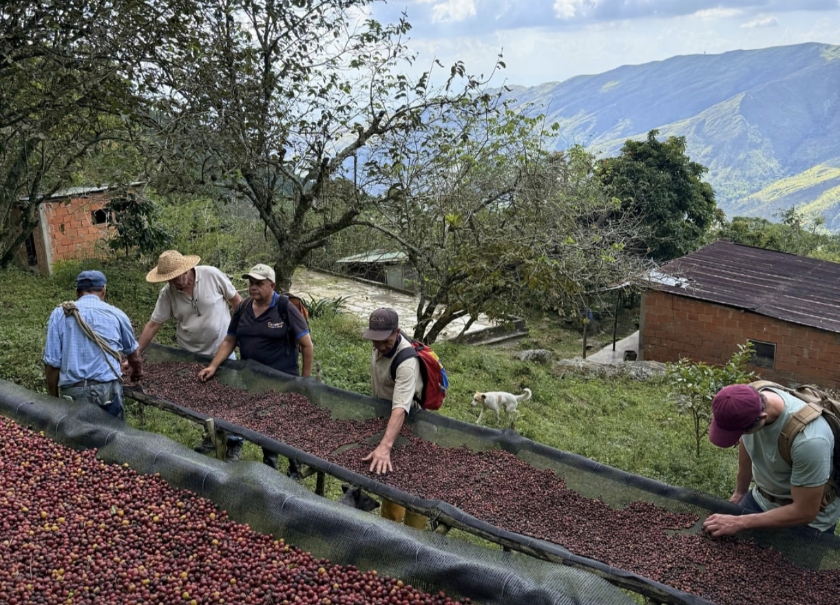 Origin2U representará a Venezuela en el World of Coffee Brussels