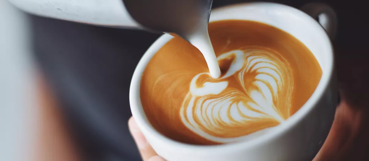 El café no solo despierta, también protege frente al envejecimiento